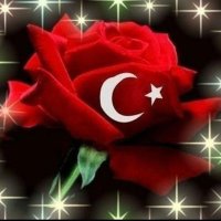 Hacı (@anadalu66) 's Twitter Profile Photo Hacı (@anadalu66) 's Twitter Profile Photo