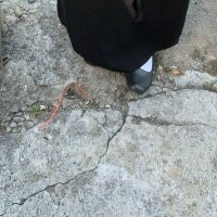 Gendatss (@xxlal4x) 's Twitter Profile