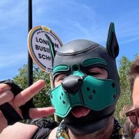 pup_jace55 (@pup_jace55) 's Twitter Profile Photo