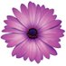Institut Botànic de Barcelona (@ibb_botanic) Twitter profile photo Institut Botànic de Barcelona (@ibb_botanic) Twitter profile photo