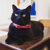 Gladstone 🇺🇦 (@treasurymog) 's Twitter Profile Photo Gladstone 🇺🇦 (@treasurymog) 's Twitter Profile Photo