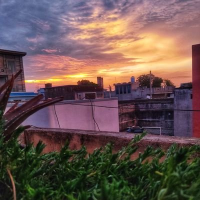 theidiotones's profile picture. 