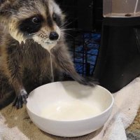 𝐤𝐡𝐚 (@wccsanist) 's Twitter Profile Photo 𝐤𝐡𝐚 (@wccsanist) 's Twitter Profile Photo