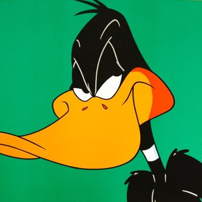 SirDuckInvest's profile picture. 