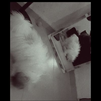 thintallimma's profile picture. 