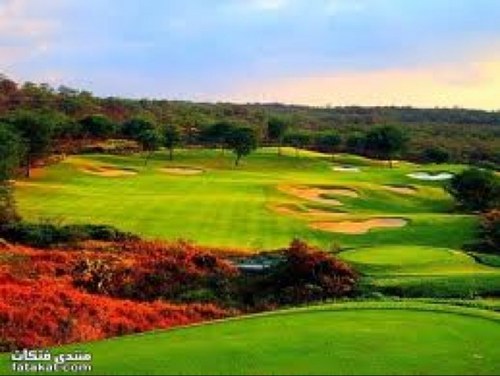 mahaalhadlag's profile picture. الطيور التي تولد في القفص تعتقد ان الطيران جريمة !