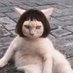 Missqueen❤️Memecoin (@decryptovil) Twitter profile photo Missqueen❤️Memecoin (@decryptovil) Twitter profile photo