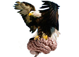 KNch_TV's profile picture. 