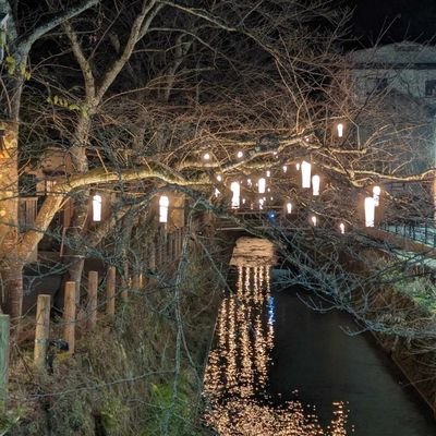 HSM_dropout's profile picture. 30+| vibing