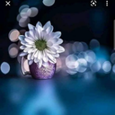 Sona Susan Pius - @SonaPius - Twitter