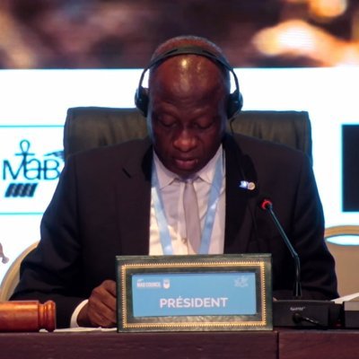DG, Forestry Research Institute of Nigeria (2015-2023)
Chair/President, UNESCO MAB-ICC (2020-2024)