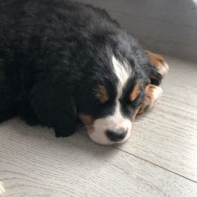 EddyLindbl54108's profile picture. 