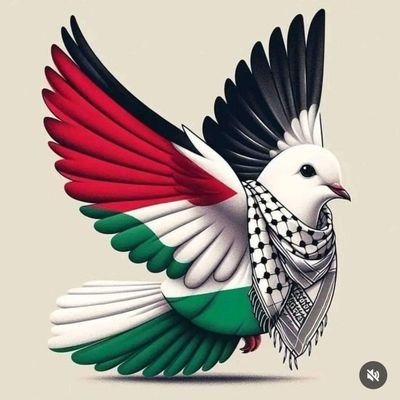 VatanVatan34's profile picture. Hak seni hür yarattı hırs seni kul etmesin.. Hz.Ali