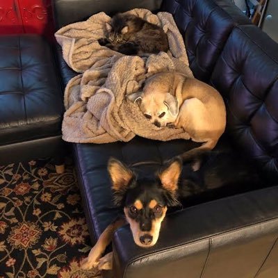 watsonsonia01's profile picture. hello 💕