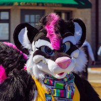 SamyLeStinker~ 🦨🩷🩵🩷 (@samylestinker) 's Twitter Profile Photo SamyLeStinker~ 🦨🩷🩵🩷 (@samylestinker) 's Twitter Profile Photo