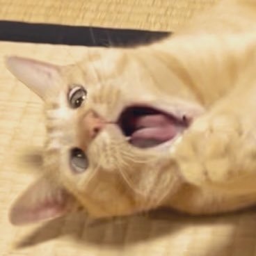 のぞ(いろいろ)さんのプロフィール画像