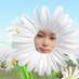 꽃이피원네용 (@ggochipiwon) Twitter profile photo 꽃이피원네용 (@ggochipiwon) Twitter profile photo