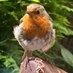 A Evans (@annabel2746) Twitter profile photo A Evans (@annabel2746) Twitter profile photo