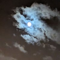 T (@t14242939) 's Twitter Profile