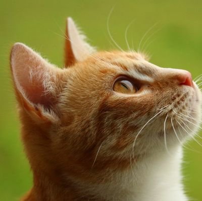 yumi_ea0301's profile picture. 赤楚衛二さんを応援しています/ eijiiiii-zです