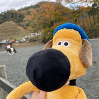 いーぬ (@i_nu_rd) 's Twitter Profile