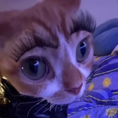 SADssen's profile picture. 