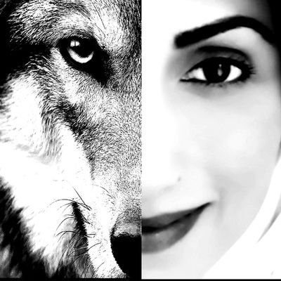 Korktukları şey ol !...
TÜRK OL !...🇹🇷🐺🇹🇷
