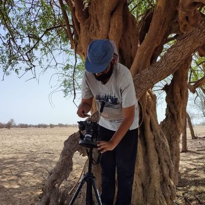 🦉🌈(they/them)
PhD student @MacrophysLab @CES_IISc studying evolution of colour in 🦎!
Ecology, Behaviour, Evolution, Mimicry, Sexual Selection 🕷🐜🪲🦎🦅🦋🐾