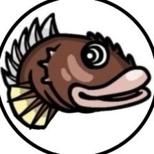 名古屋ポケさんのプロフィール画像