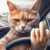 Combat Parking Respecter (@deltaechor23702) Twitter profile photo Combat Parking Respecter (@deltaechor23702) Twitter profile photo