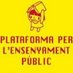 Plataforma Ensenyament Públic - Castelló (@perlapublicacs) Twitter profile photo