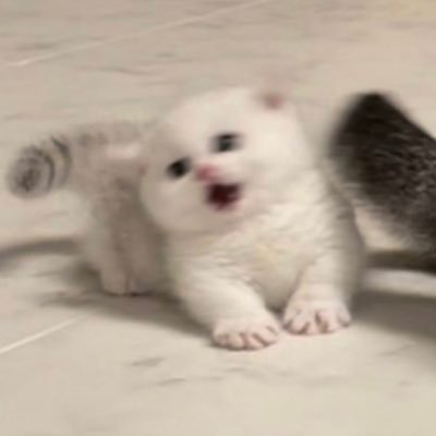 mさんのプロフィール画像