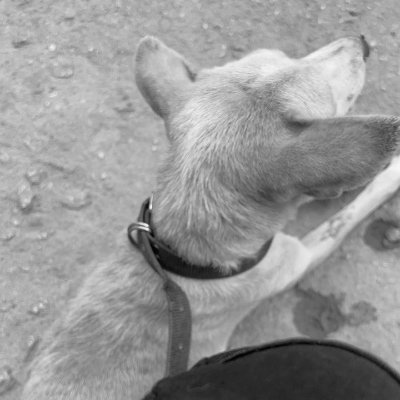 ricgadotas's profile picture. Mizhin Gbayizanu | #MUFC Fan | FCT Pikin.

BEng Electrical and Electronic Engineering | Graphics Designer | Web Developer and Designer.