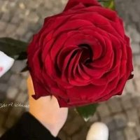 Mrym🦋🤎 (@mrymgamal005) 's Twitter Profile