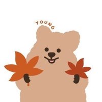 쿠키 (@comp_cookie) 's Twitter Profile