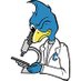 Creighton Biology (@creightonbio) Twitter profile photo Creighton Biology (@creightonbio) Twitter profile photo