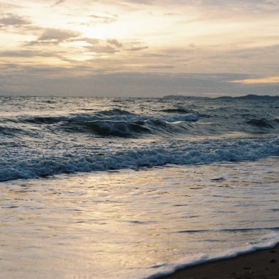 lolollolalalolo's profile picture. 