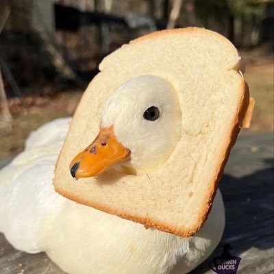 AprilFires_'s profile picture. Oh how I love and adore the grim reaper 🫶🏻