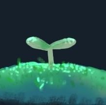 一人で呟き続ける垢
🦗⚙️🚗/鍵掛け中