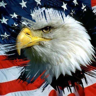 svgdreamer's profile picture. Anti-Communist