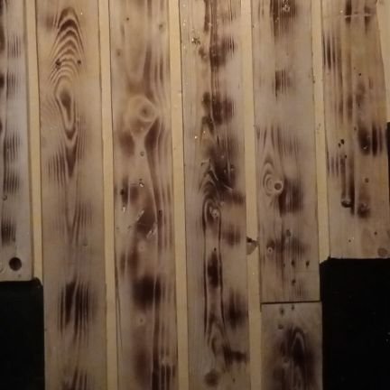 Isabellakiritu's profile picture. Husband,Dad & Environmentalist.