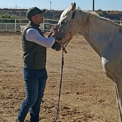 Veterinario/
Fisioterapia Veterinaria/Medicina Deportiva Equina/Acupuntura Veterinaria/🇻🇪🇪🇸