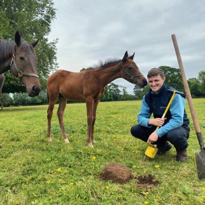 Product, Technical, & Sustainability Manager @Grasslandagro | PhD Student @ucddublin @farm4more🎓🐂🐑🌾 (All views are my own)