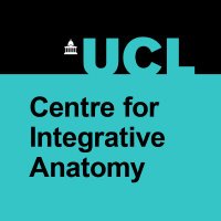 UCL Centre for Integrative Anatomy (@cia_ucl) 's Twitter Profile Photo UCL Centre for Integrative Anatomy (@cia_ucl) 's Twitter Profile Photo