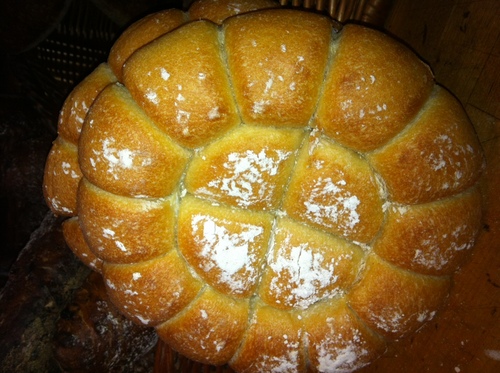 Director Social Media Pain D'Avignon Cafe Boulangerie; Owner/Operator Cape Cod Foodie Tours