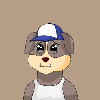Defi Explorer || Community Manager || Ama Host || Content writer || community shiller