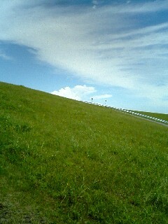 群馬県出身。らくだ好き。