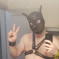 StoneyTeddy (@thelurkinghimbo) Twitter profile photo