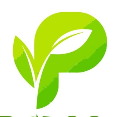 PromapTumaco's profile picture. 