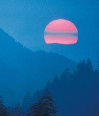 WillieDiFabio's profile picture. On my second attempted thru hike on the Appalachian Trail